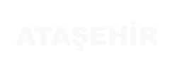 atasehir-boyler servisi