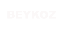 beykoz boyler servisi