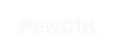 pendik boyler servisi
