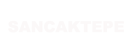 sancaktepe boyler servisi