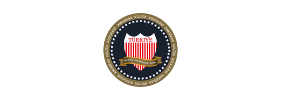 Amerikan Koleji